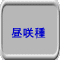 昼咲種