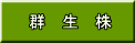Q@@
