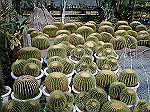 conv000319_s.jpg