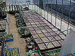 conv000114_s.jpg