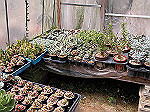 conv00074_s.jpg