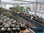 conv000226_s.jpg