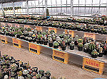 conv00069_s.jpg