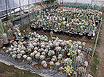 conv000211_s.jpg