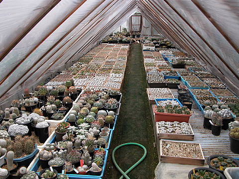 conv000412.jpg
